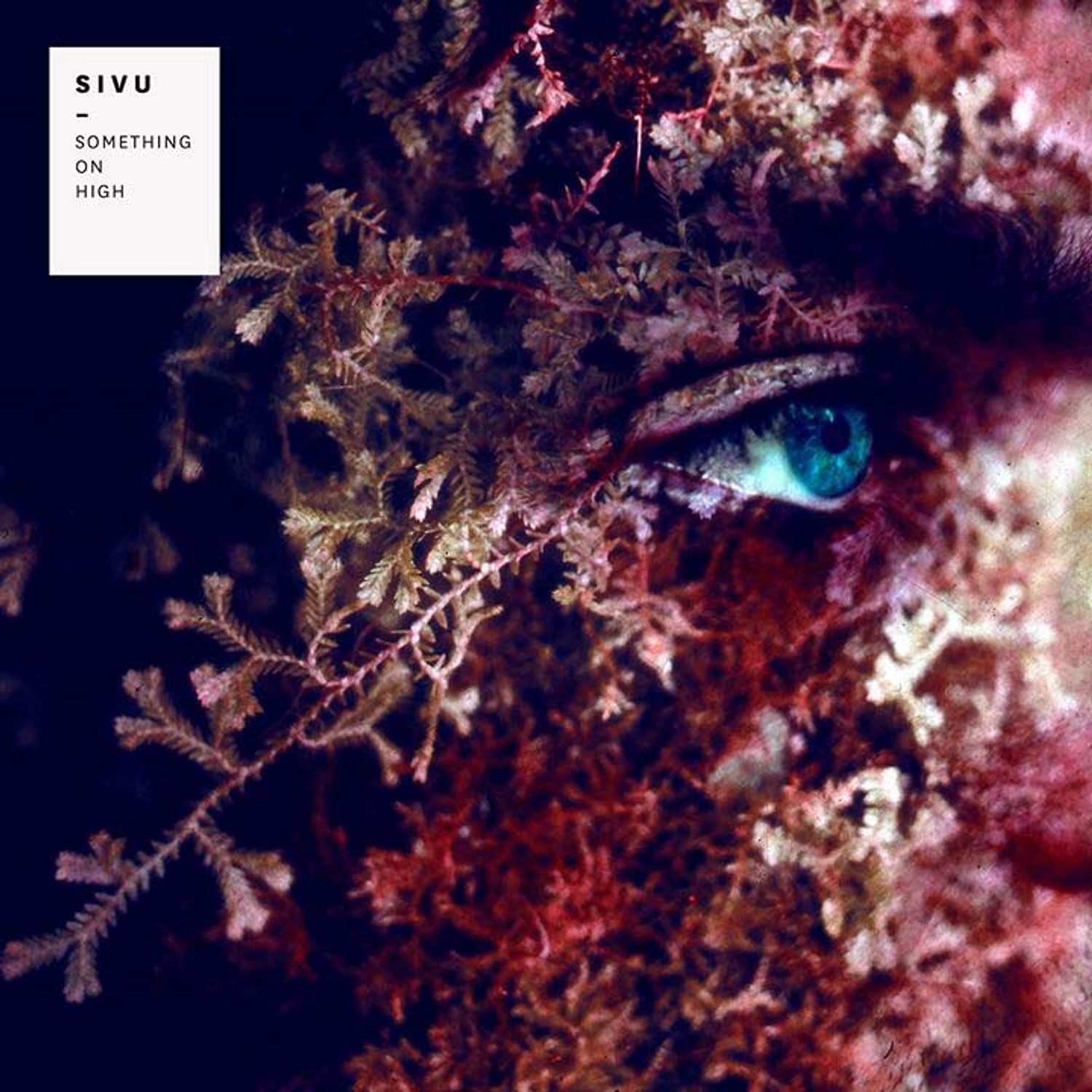 Sivu - Something On High