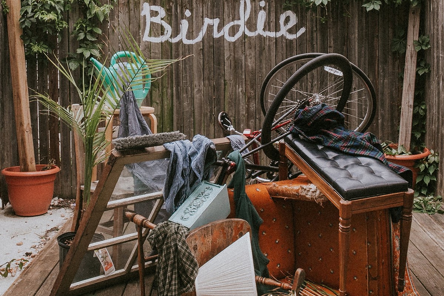 Slaughter Beach, Dog - Birdie