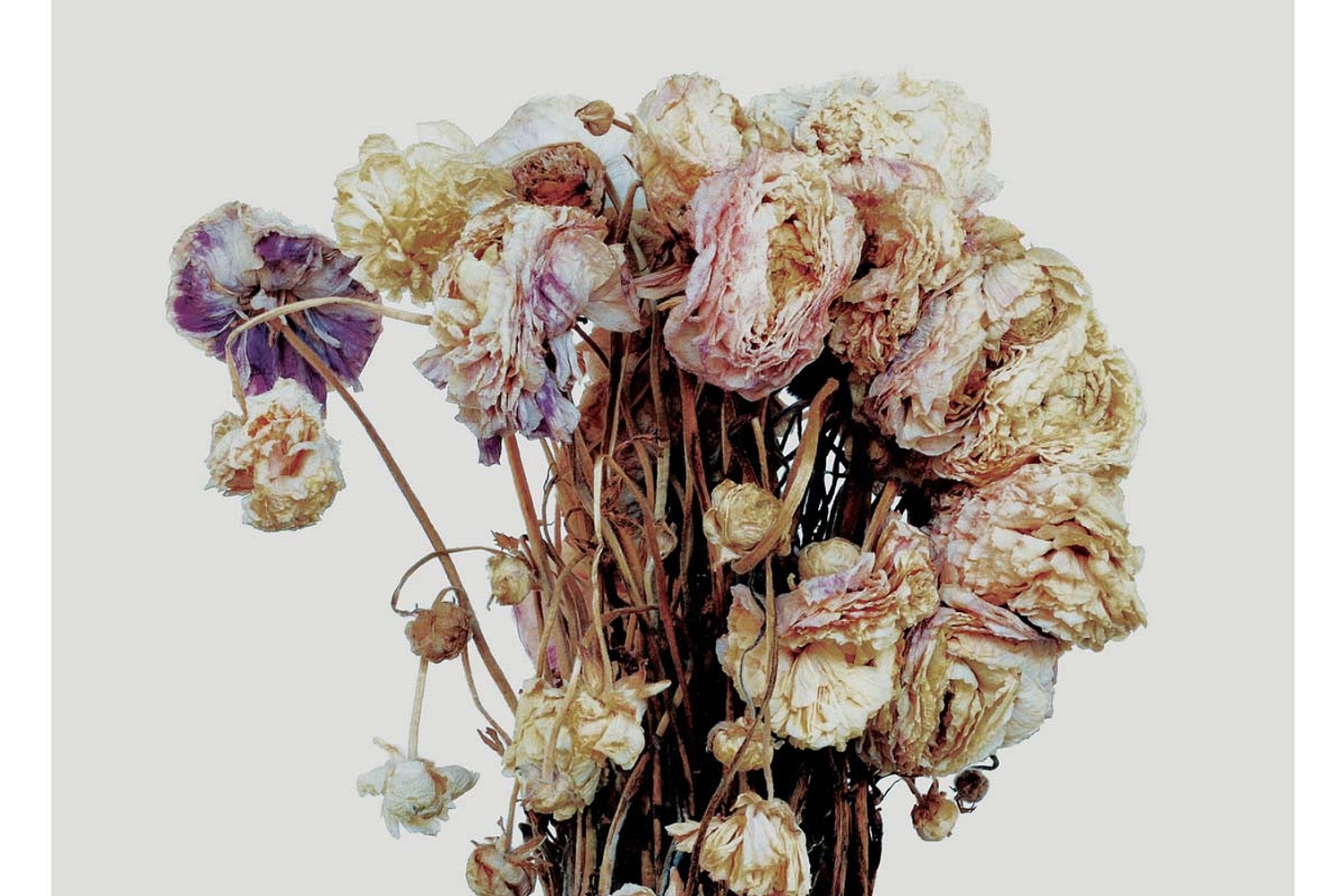 Sleater-Kinney - No Cities To Love