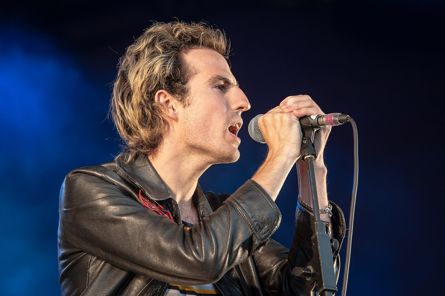 Standon Calling 2016