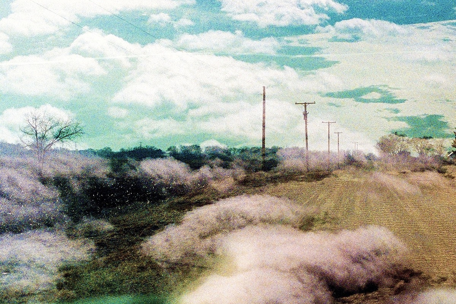 The World Is A Beautiful Place & I Am No Longer Afraid To Die - Always Foreign