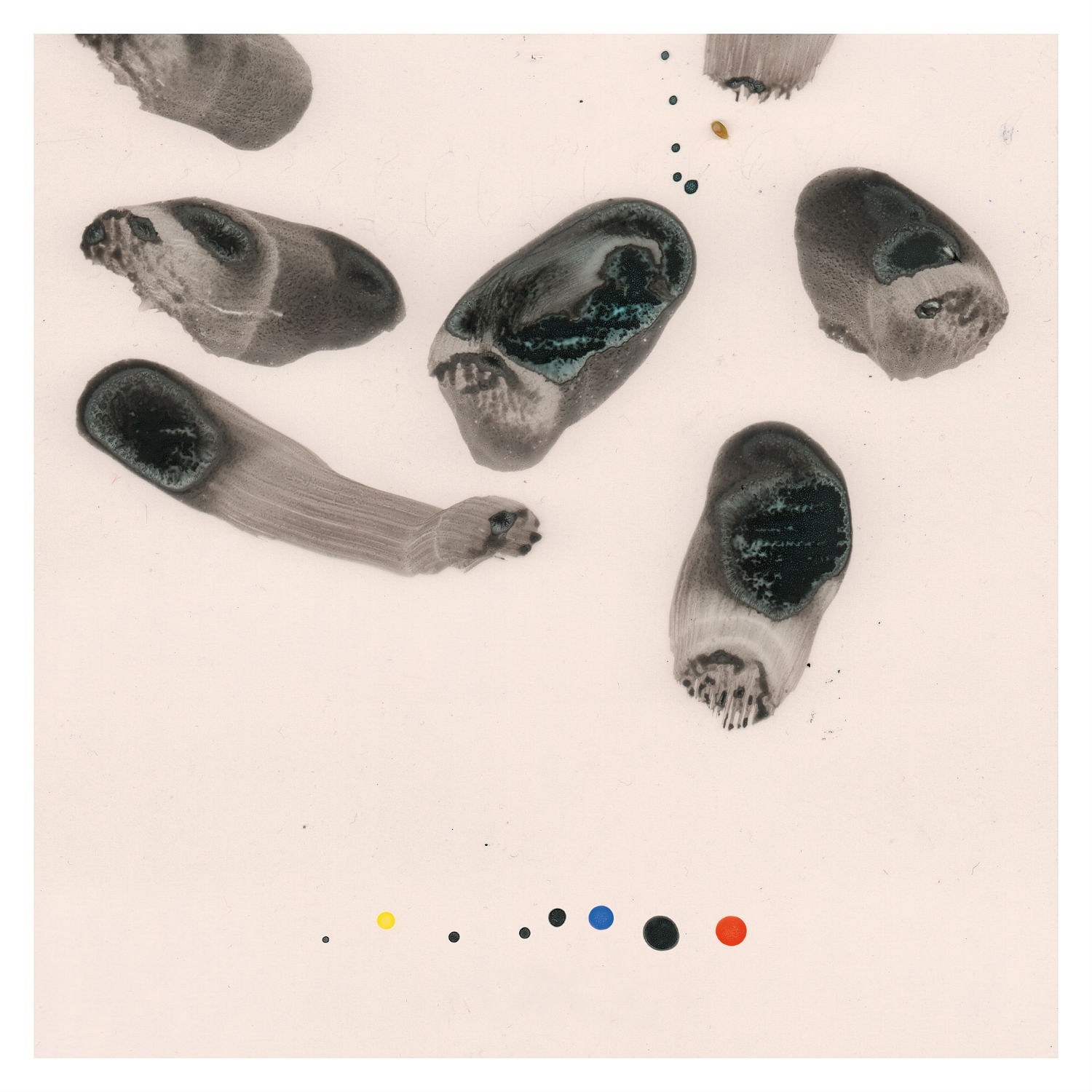 Tall Ships have finally announced album two, 'Impressions'