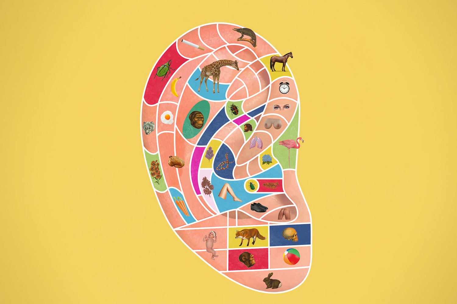 Teleman - Brilliant Sanity