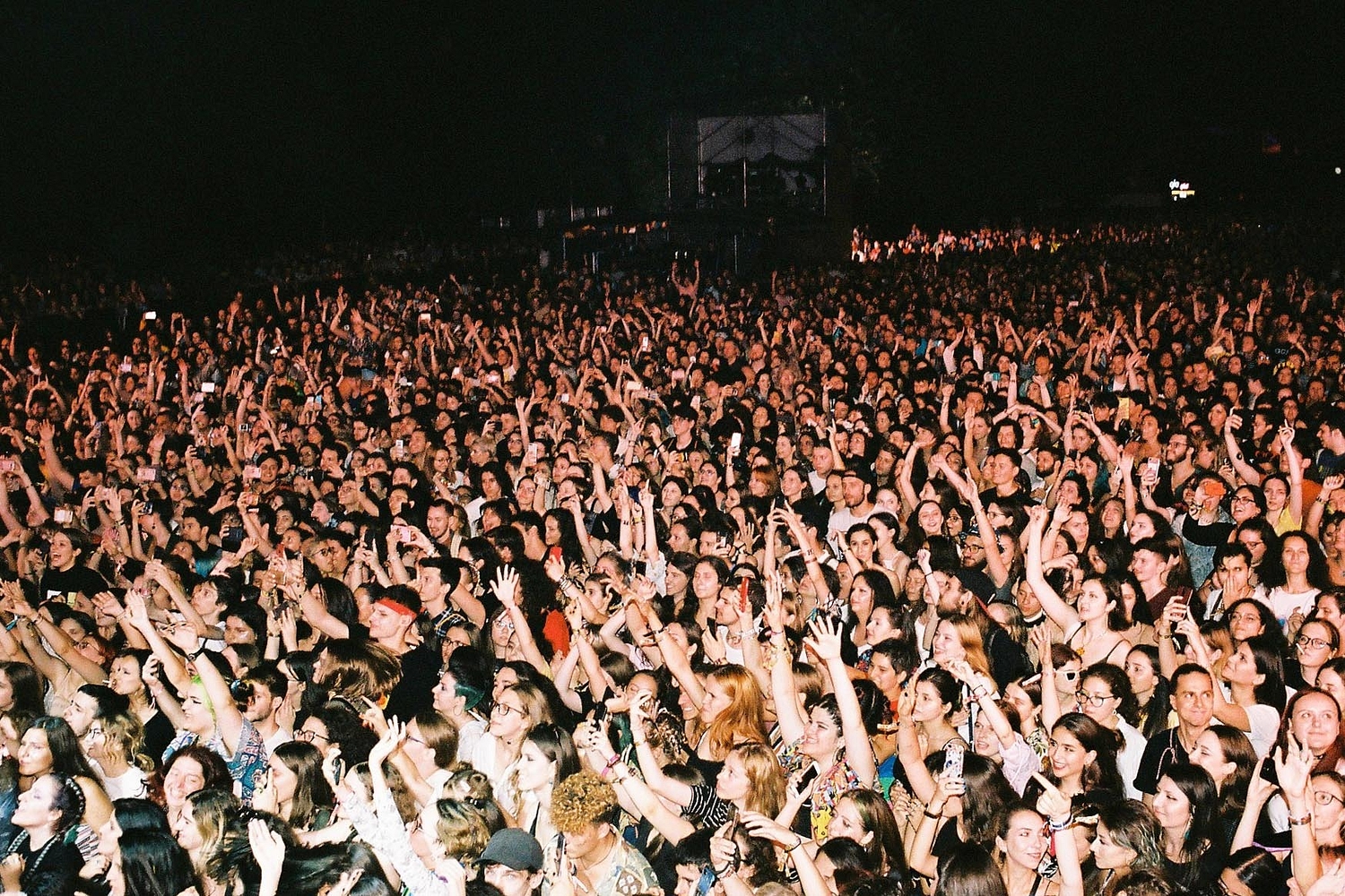 Turn On. Tune In. Drop Out: The 1975