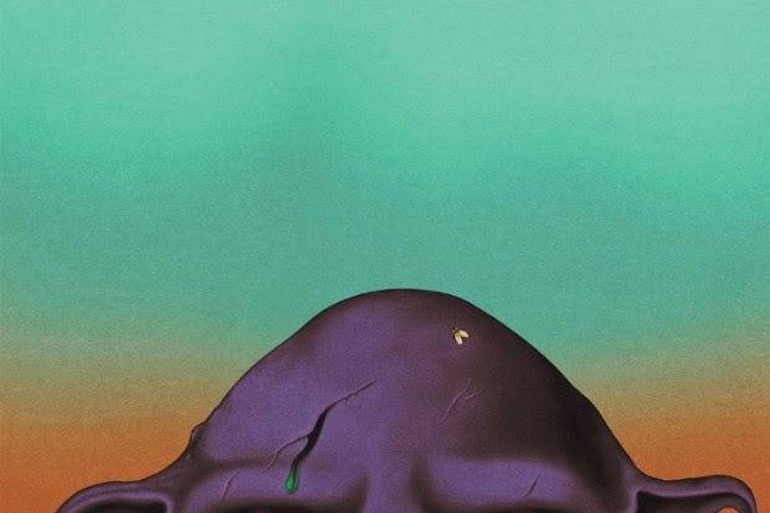 Oh Sees - ORC