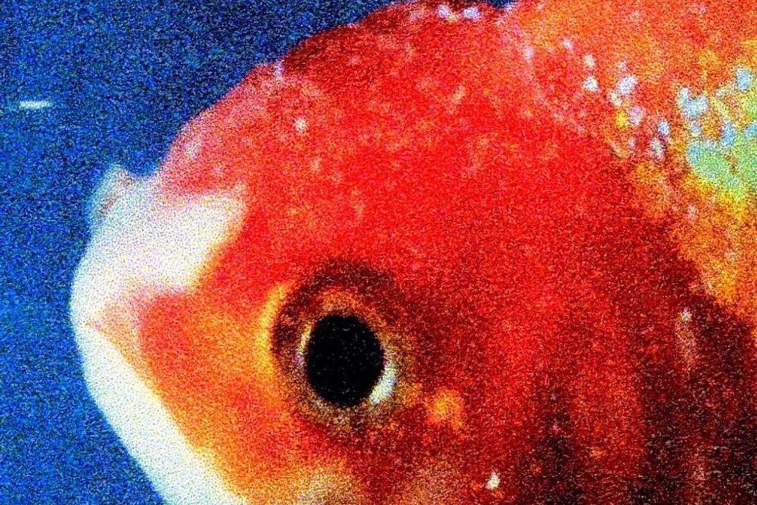 Vince Staples - Big Fish Theory