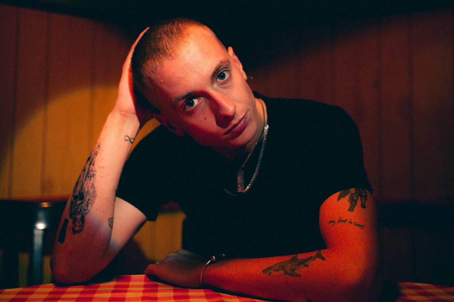 The next life: Wolf Alice