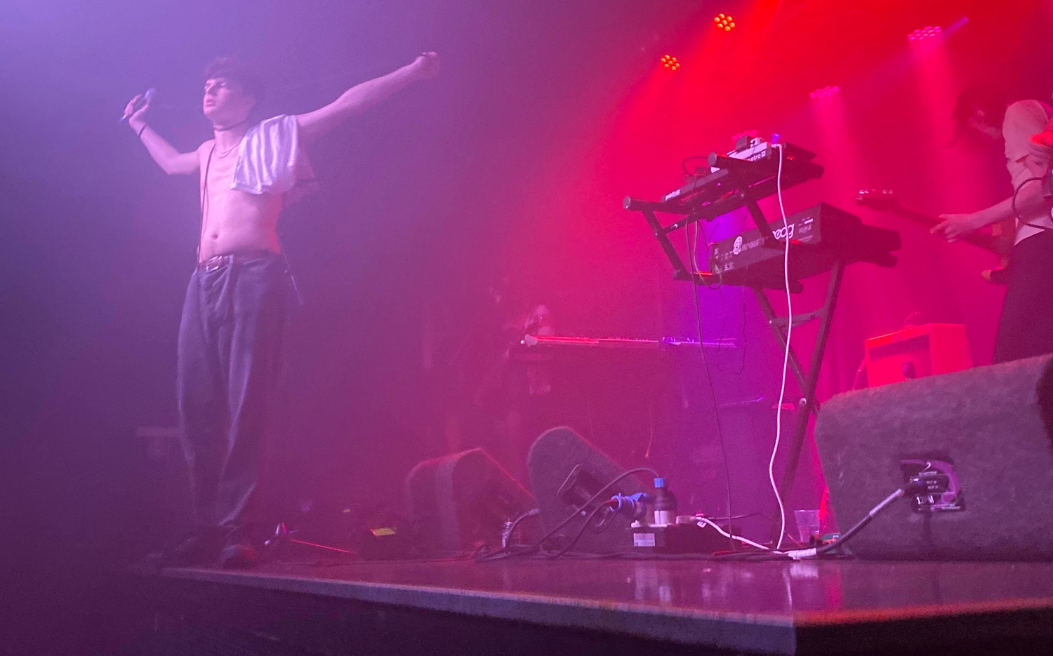Wyldest, Post Louis, King of Cats to play DIY Presents triple-header at London’s The Old Blue Last
