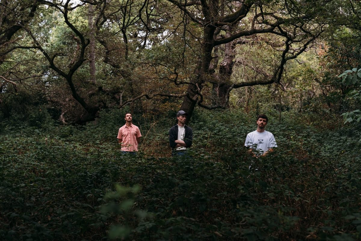 Wicketkeeper unveil 'Something I've Never Seen' from new album 'Zambroni' - Vimarsana News