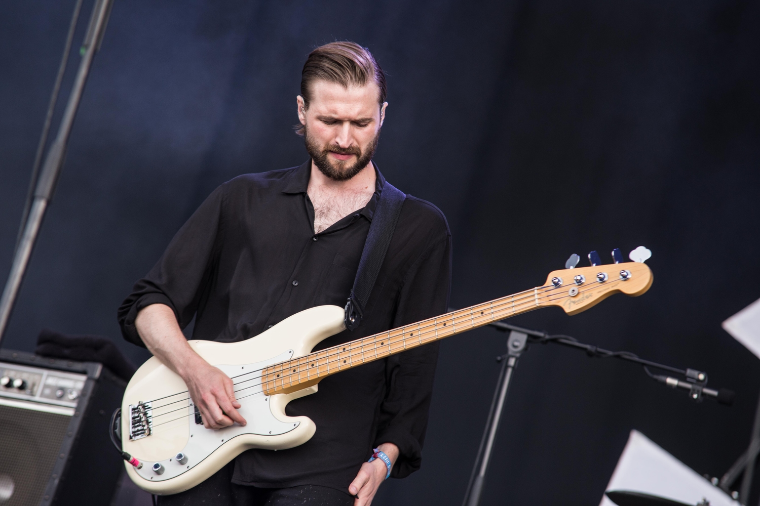 Latitude 2015: Friday in photos