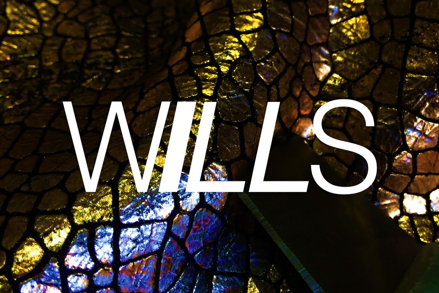 WILLS unveils debut track, ‘Going Through It’