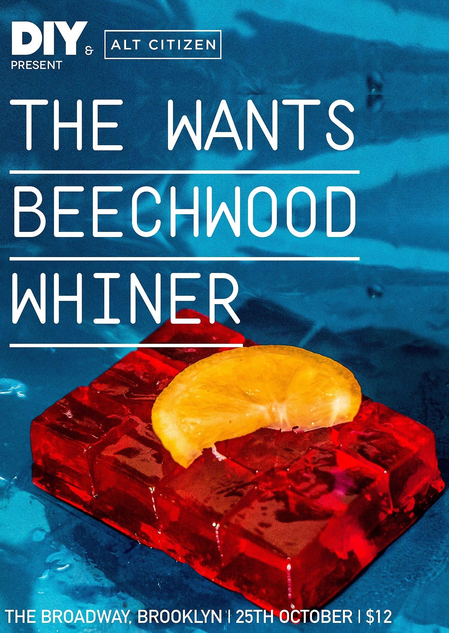 The Wants, Beechwood & Whiner for next DIY & Alt Citizen show