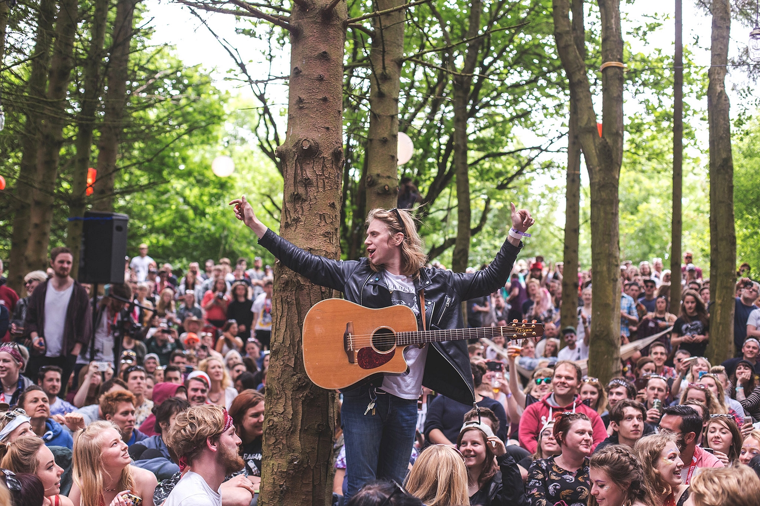 2000trees 2016