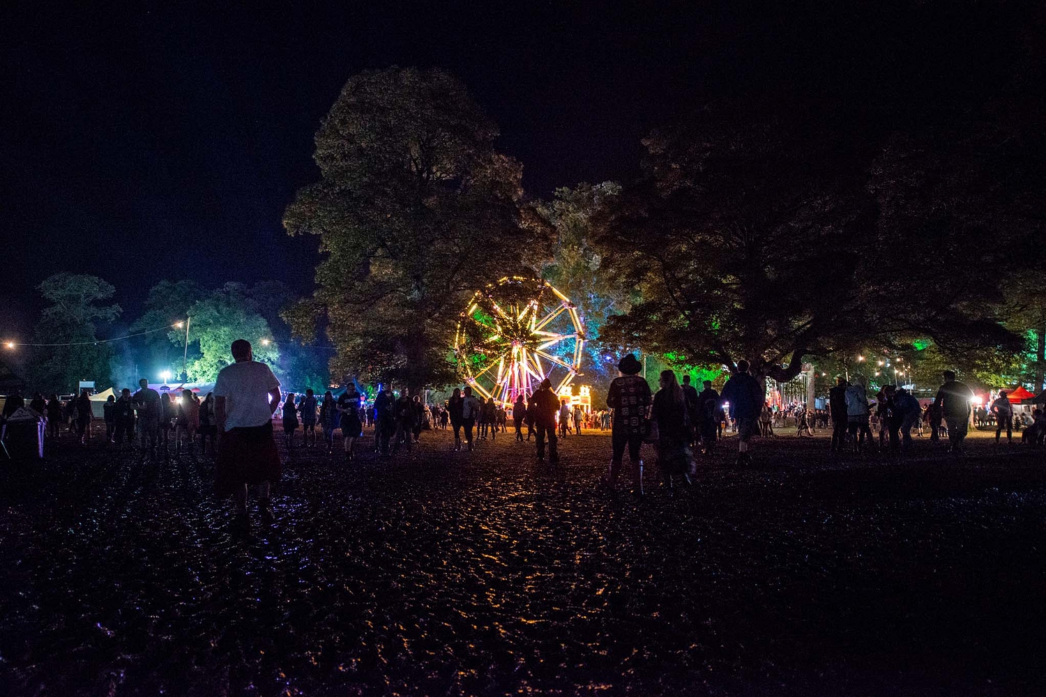 Kendal Calling 2014: Saturday