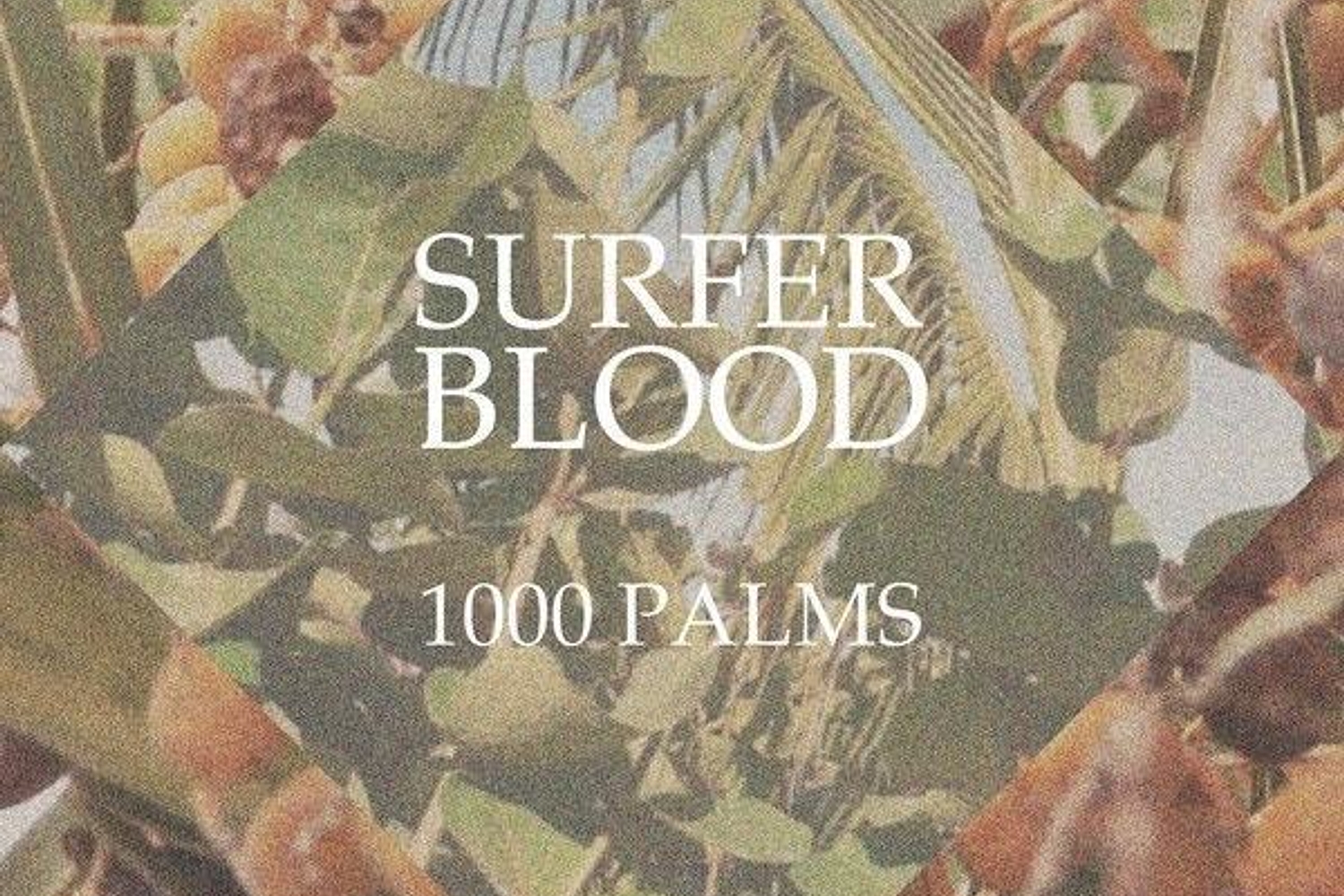 Surfer Blood - 1000 Palms