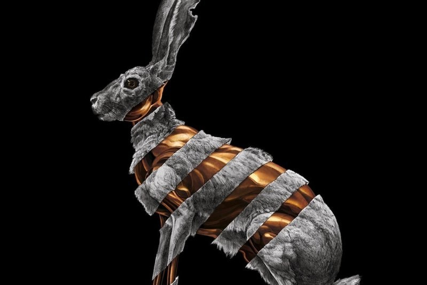 San Fermin - Jackrabbit