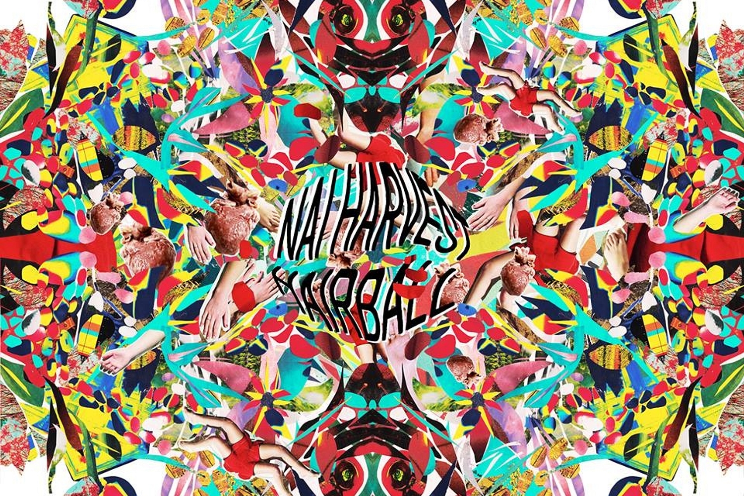 Nai Harvest - Hairball