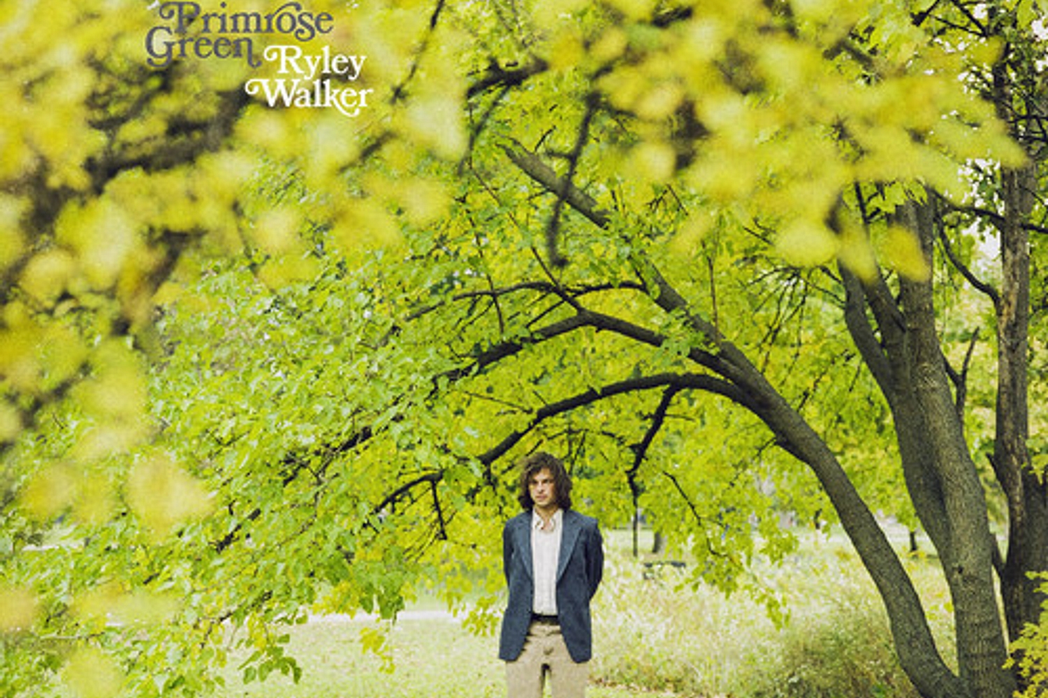 Ryley Walker - Primrose Green